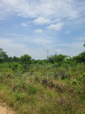 Registered 1000 Acres of Farme Land for Sale