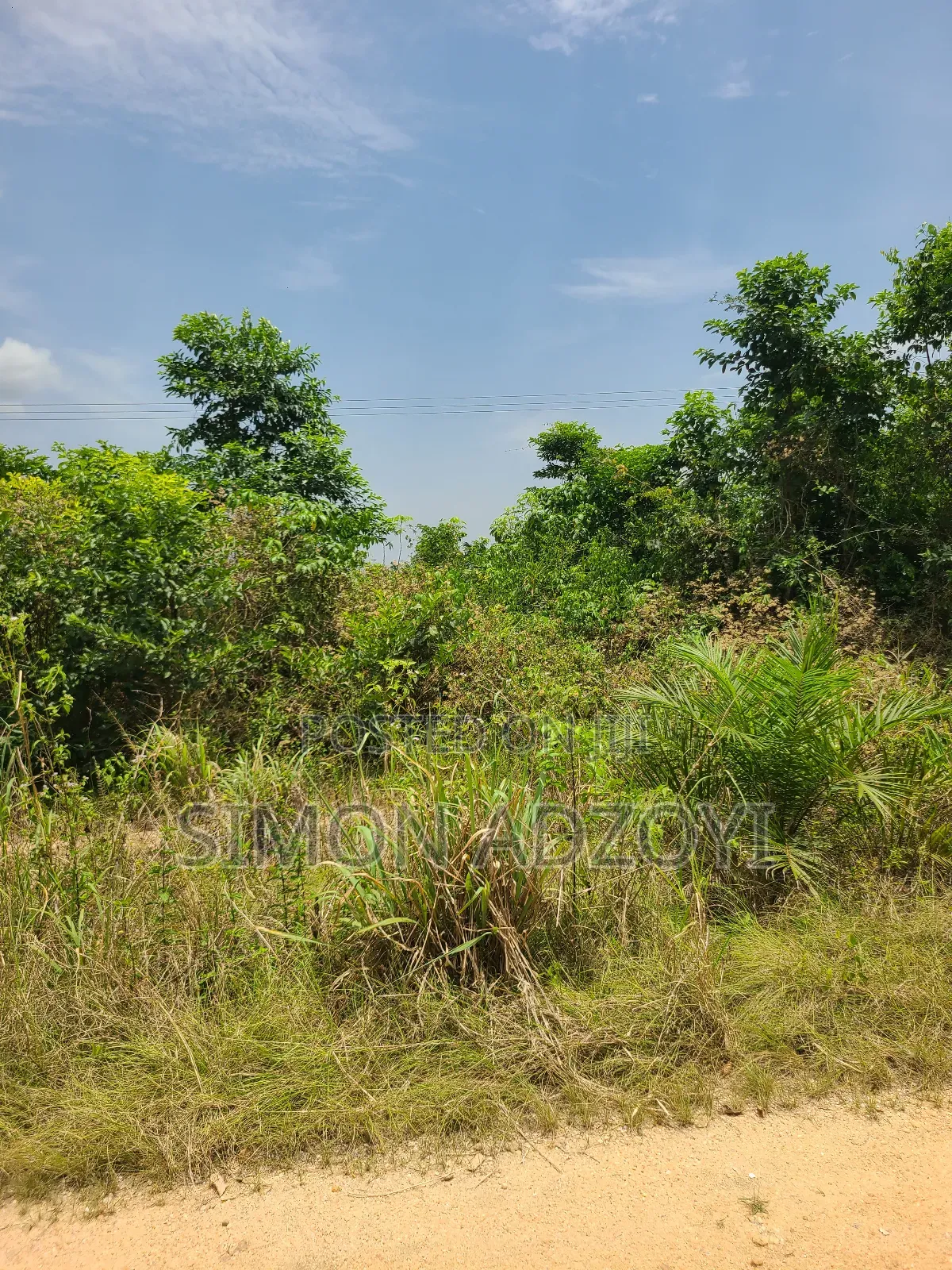 50,000 Farm Land Available for Long-Term Lease