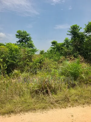 50,000 Farm Land Available for Long-Term Lease