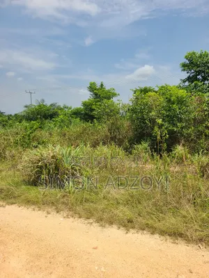50,000 Farm Land Available for Long-Term Lease