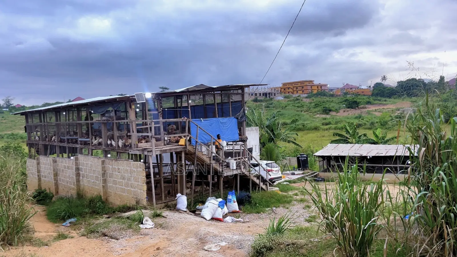 Poultry Farm for Rent