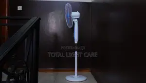 Rechargeable And Solar Standing Fan