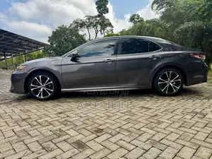 Toyota Camry SE (2.5L 4cyl 8A) 2019 Brown