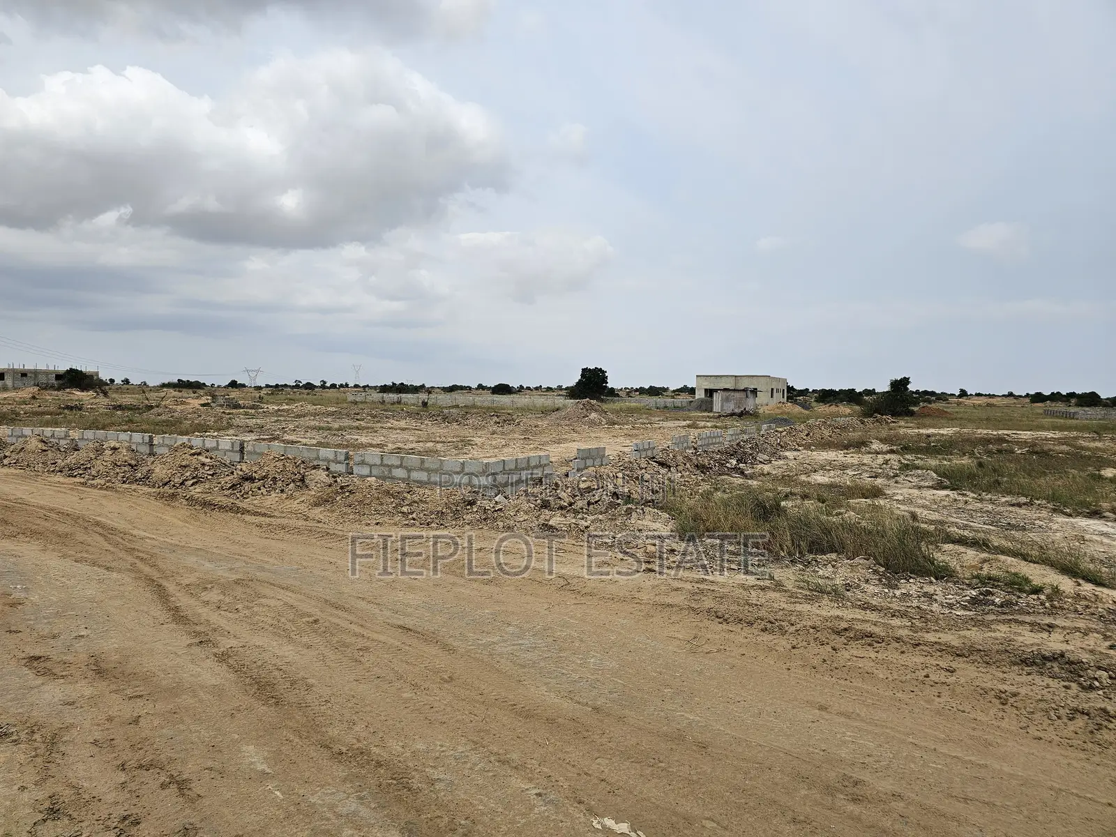 Invest in Litigation-Free Half Plot Land at Tsopoli Skyport City