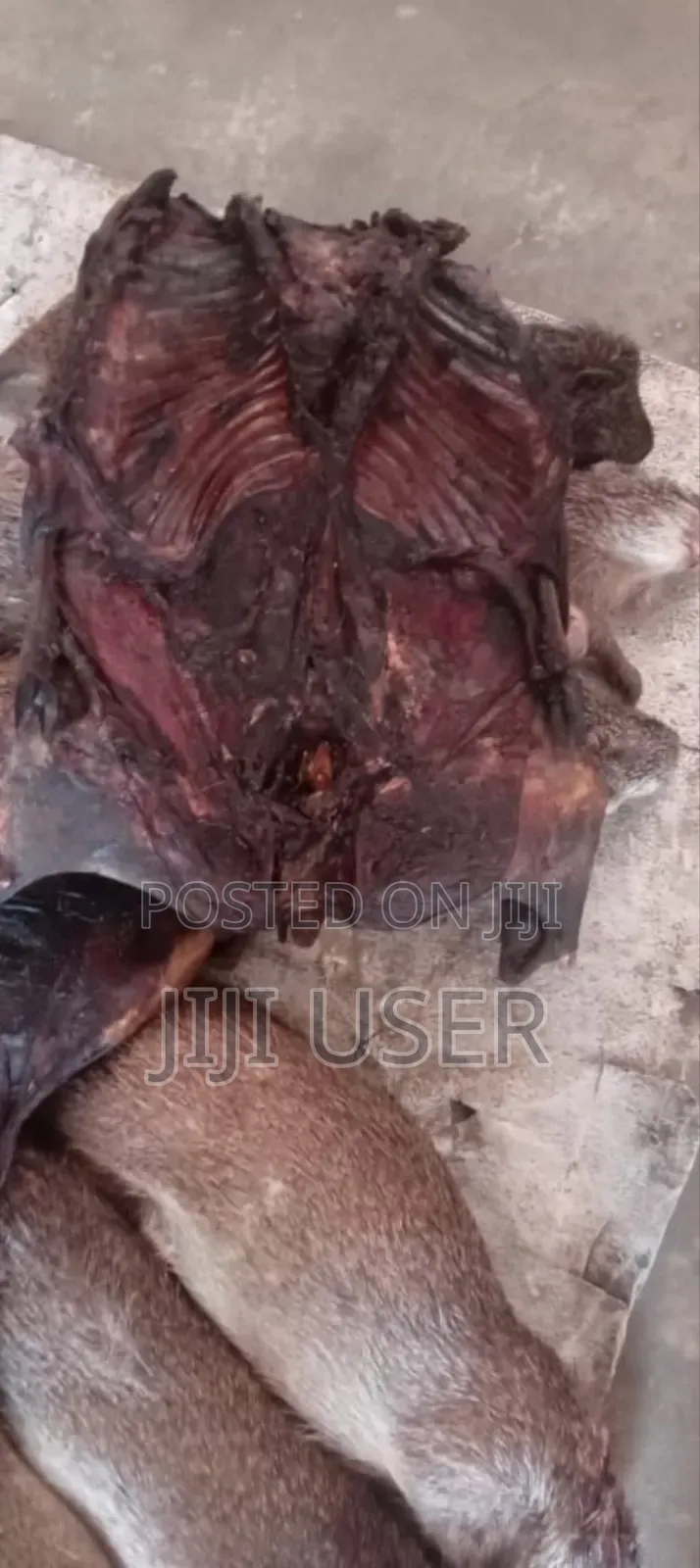 Fresh Bush Meats For Sale From Village