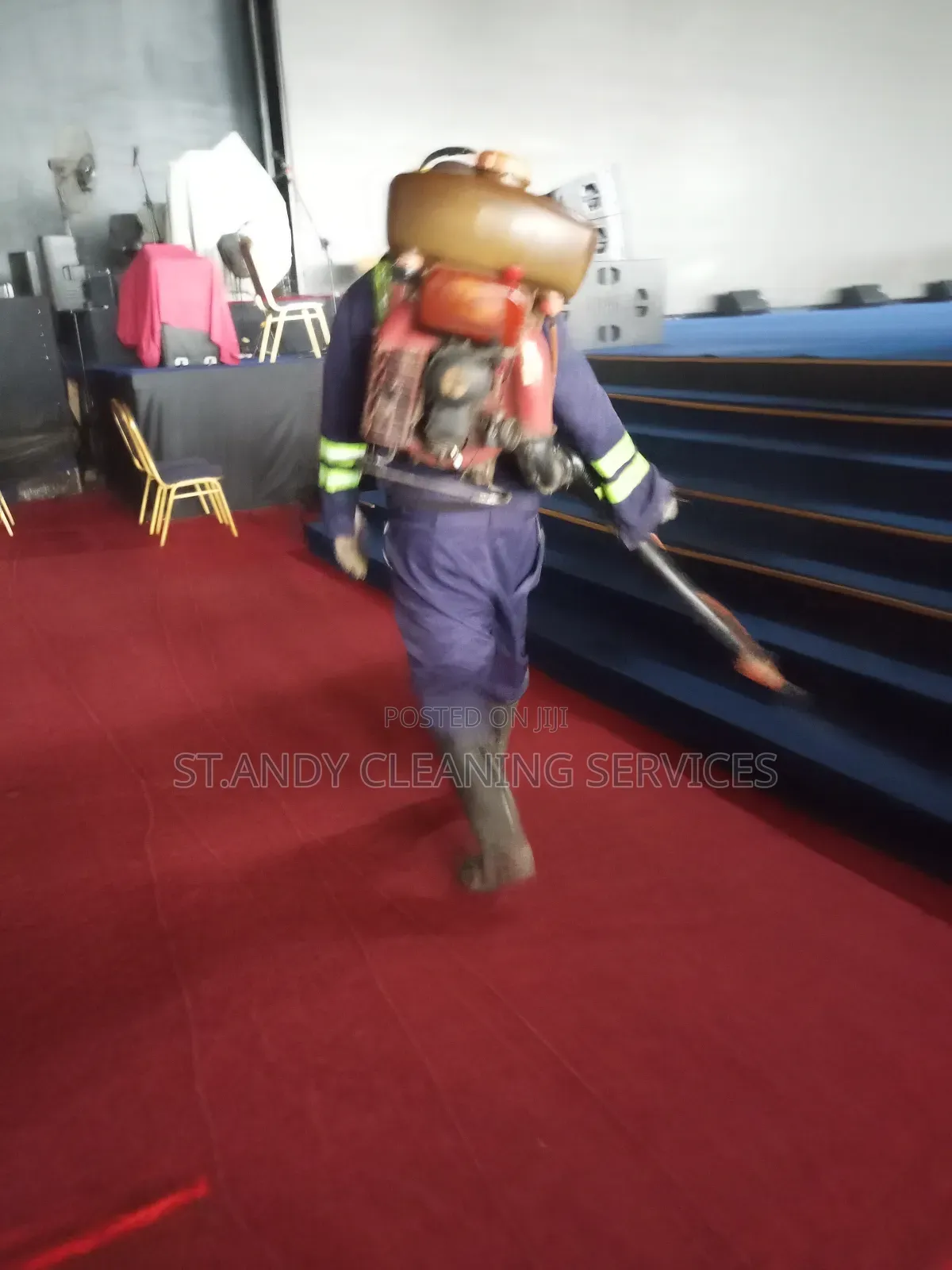 Bedbugs Fumigation