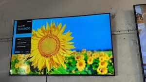 Samsung 55 Inch Crystal Uhd Tv (55au8000)