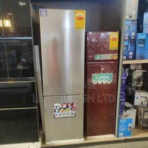 The Most Efficient and Durable 261l Bottom Freezer From Pearl