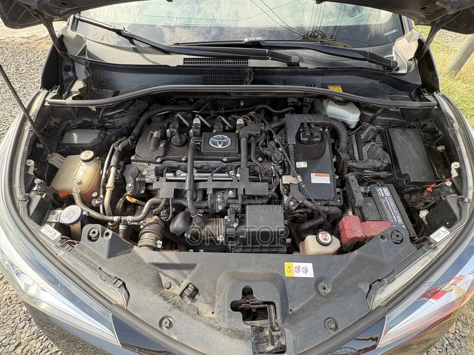 Toyota C-HR XLE FWD Sport Utility (2.0L 4cyl 2AM) 2018 Gray