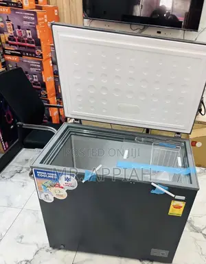 Buy Affordable Nasco 250l Single Door Chest Freezer(Gray).