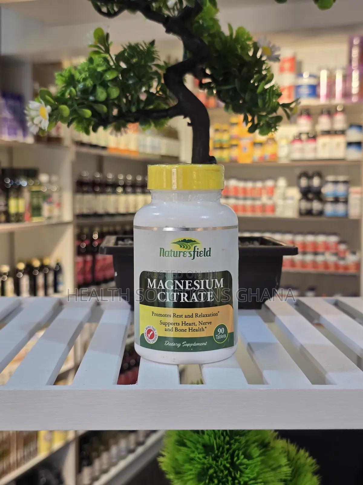 Magnesium Citrate 500mg