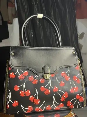 Ladies Hand Bag