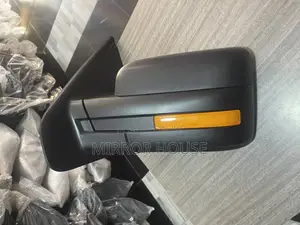 Ford F150 2008-2013 Side Mirror