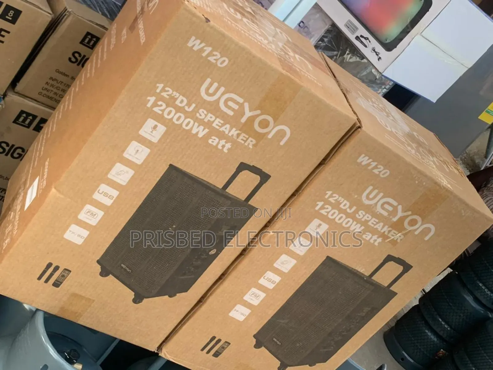 Weyon 12" Dj Speaker 1200w