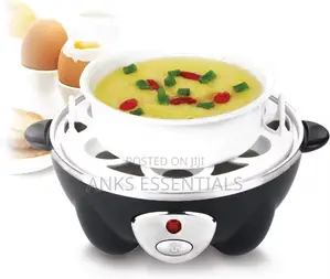 Portable Raf Electric Egg Boiler