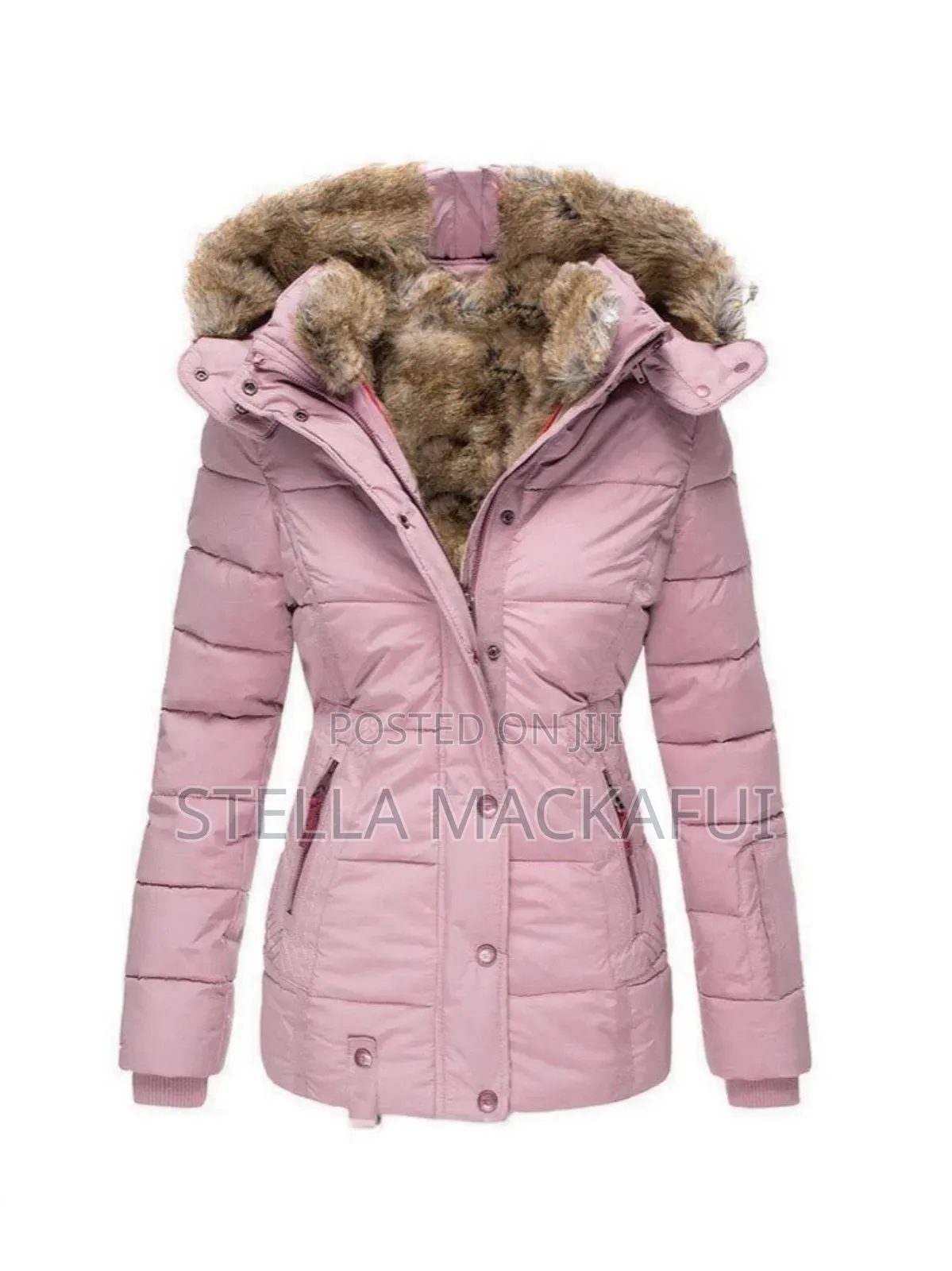 Ladies Executive Winter Jackets