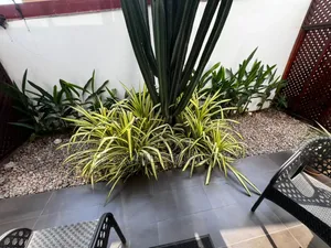 Furnished 1bdrm Apartment in Ab Richie Properties, Osu Ako-Adjei