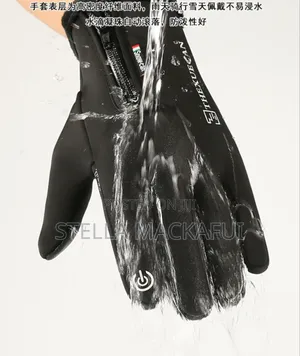 Winter Gloves for Adults