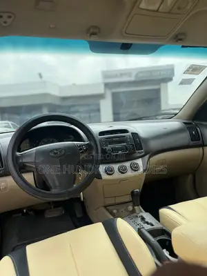 Hyundai Elantra 2010 Brown