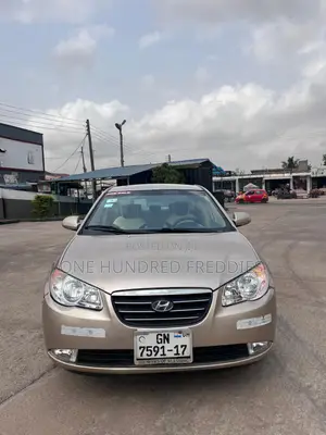 Hyundai Elantra 2010 Brown