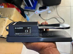 M-Audio Sustain