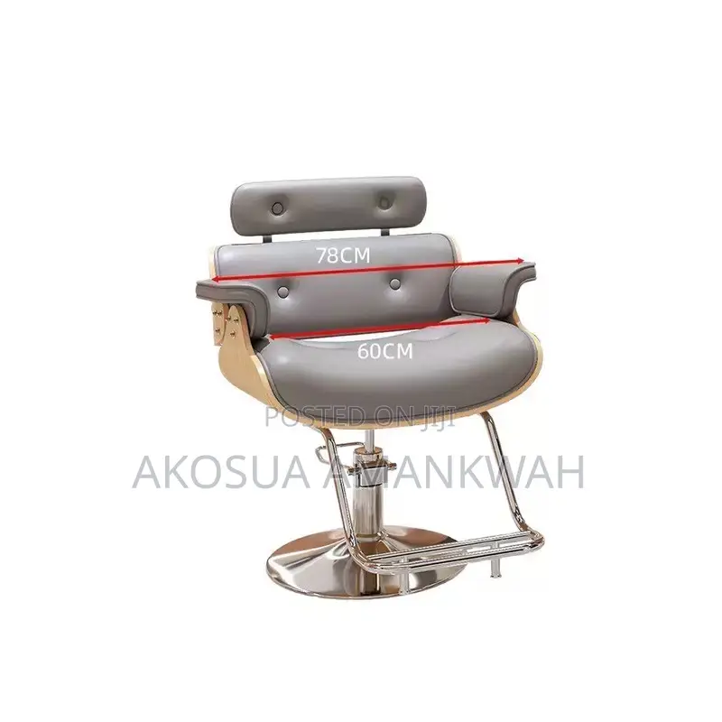 Salon Chair