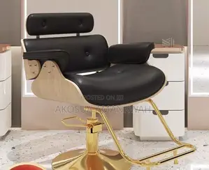 Salon Chair