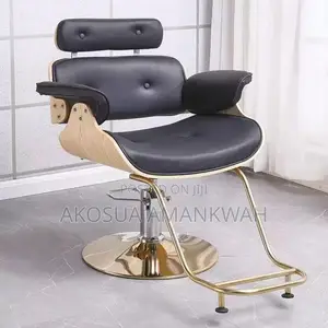 Salon Chair