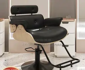 Salon Chair