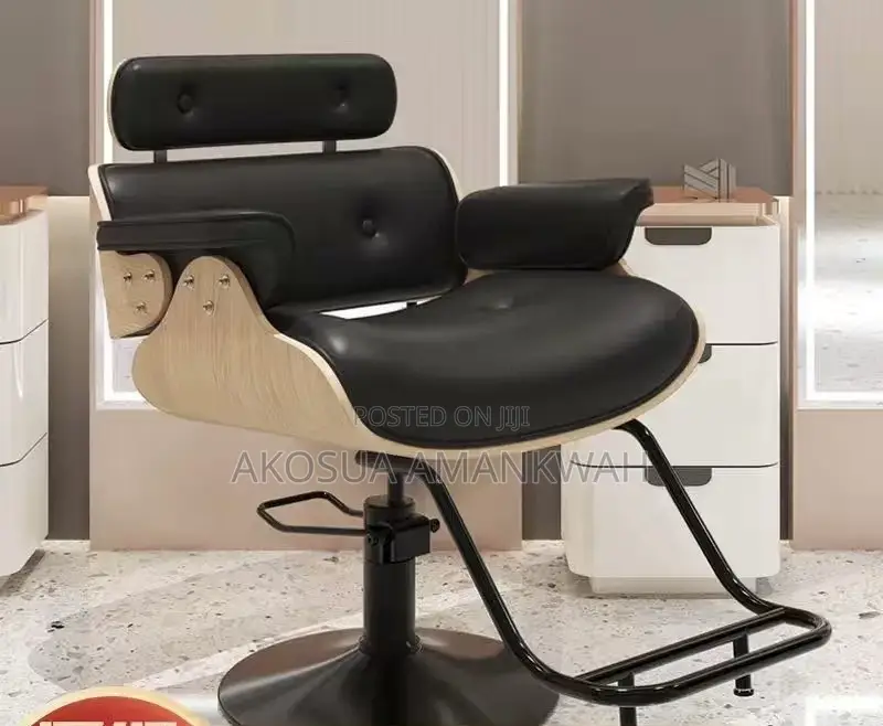 Salon Chair