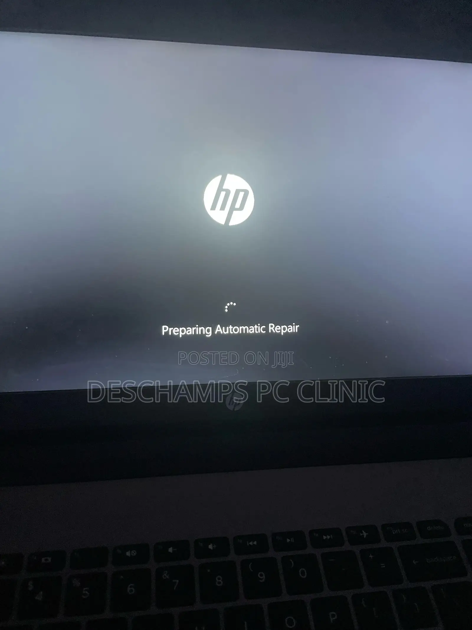Preparing Automatic Repair Screen Problem