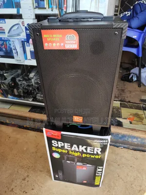 Portable High Power Bluetooth Subwoofer With 1 Microphone