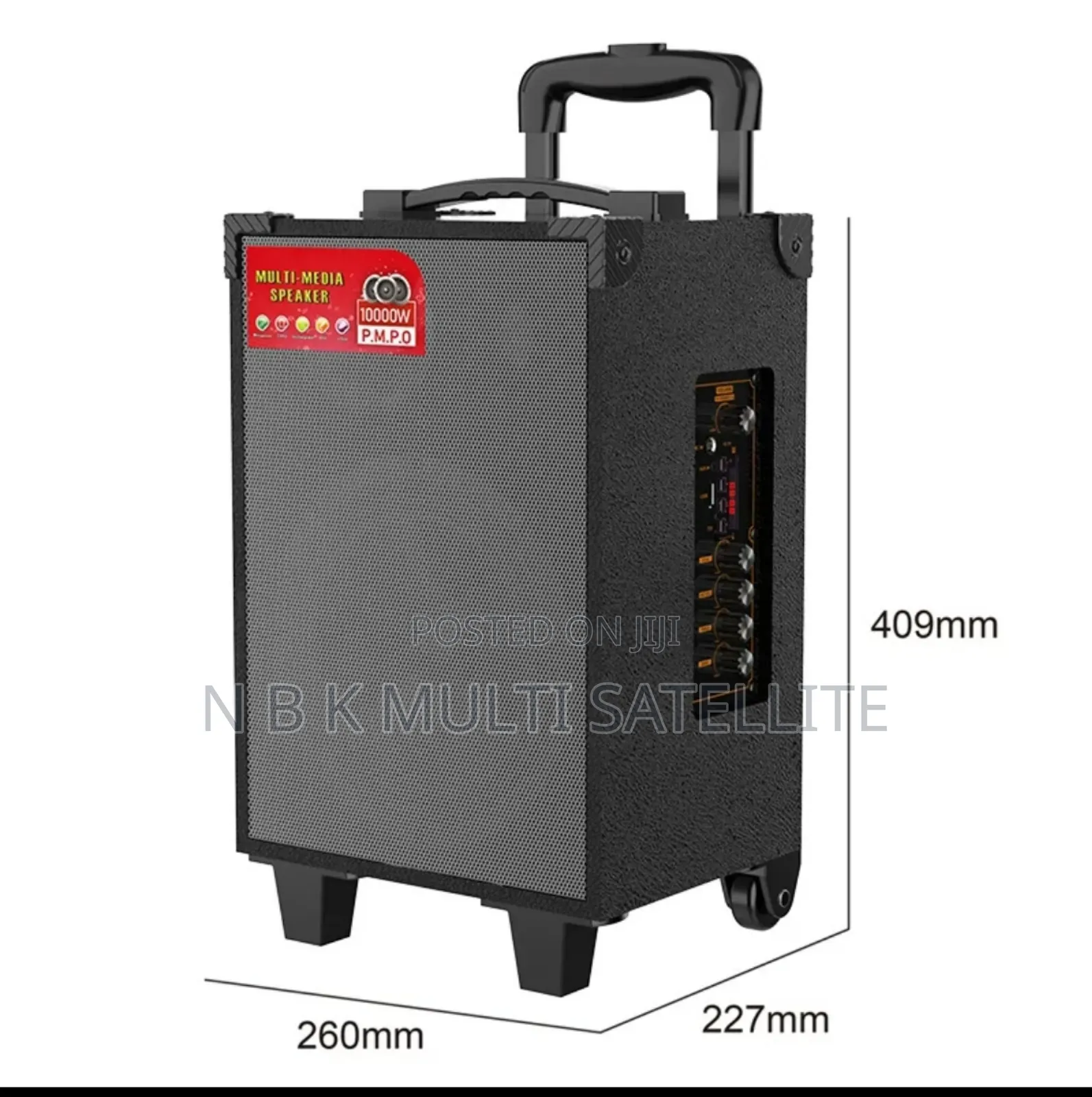 Portable High Power Bluetooth Subwoofer With 1 Microphone