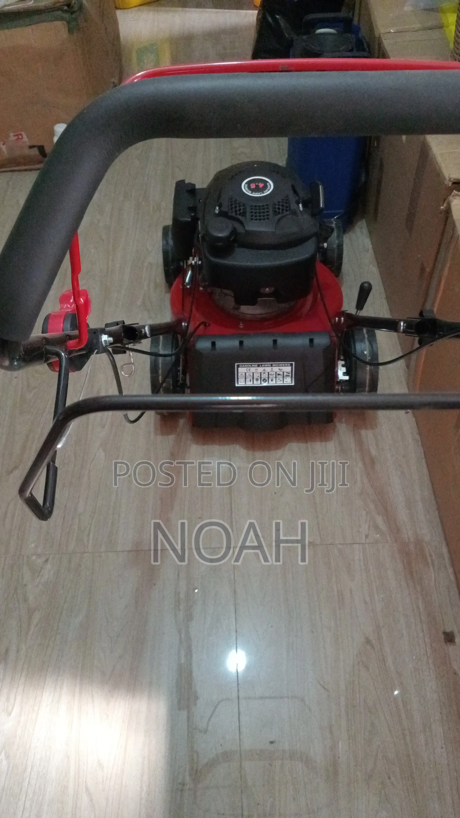 Professional Lawn Mowing Plant Care Service
