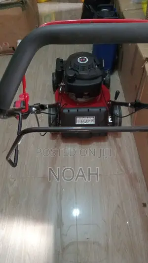 Professional Lawn Mowing Plant Care Service