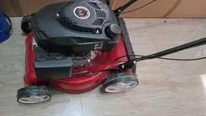 Professional Lawn Mowing Plant Care Service