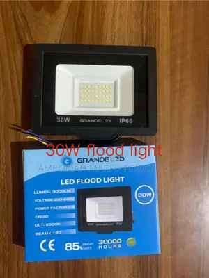 30w Floodlight