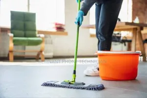 I Want Live in Cleaner/ Property Caretaker Job