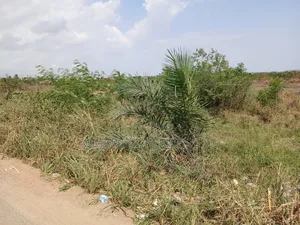 Plots on the Main Road for Sale at the Ashalaja