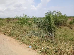 Plots on the Main Road for Sale at the Ashalaja