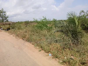 Plots on the Main Road for Sale at the Ashalaja