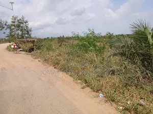 Plots on the Main Road for Sale at the Ashalaja