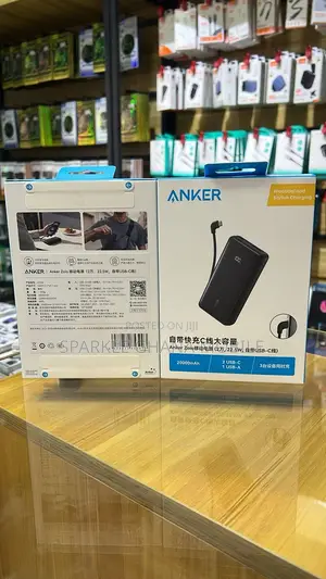 Anker Zolo Power Bank