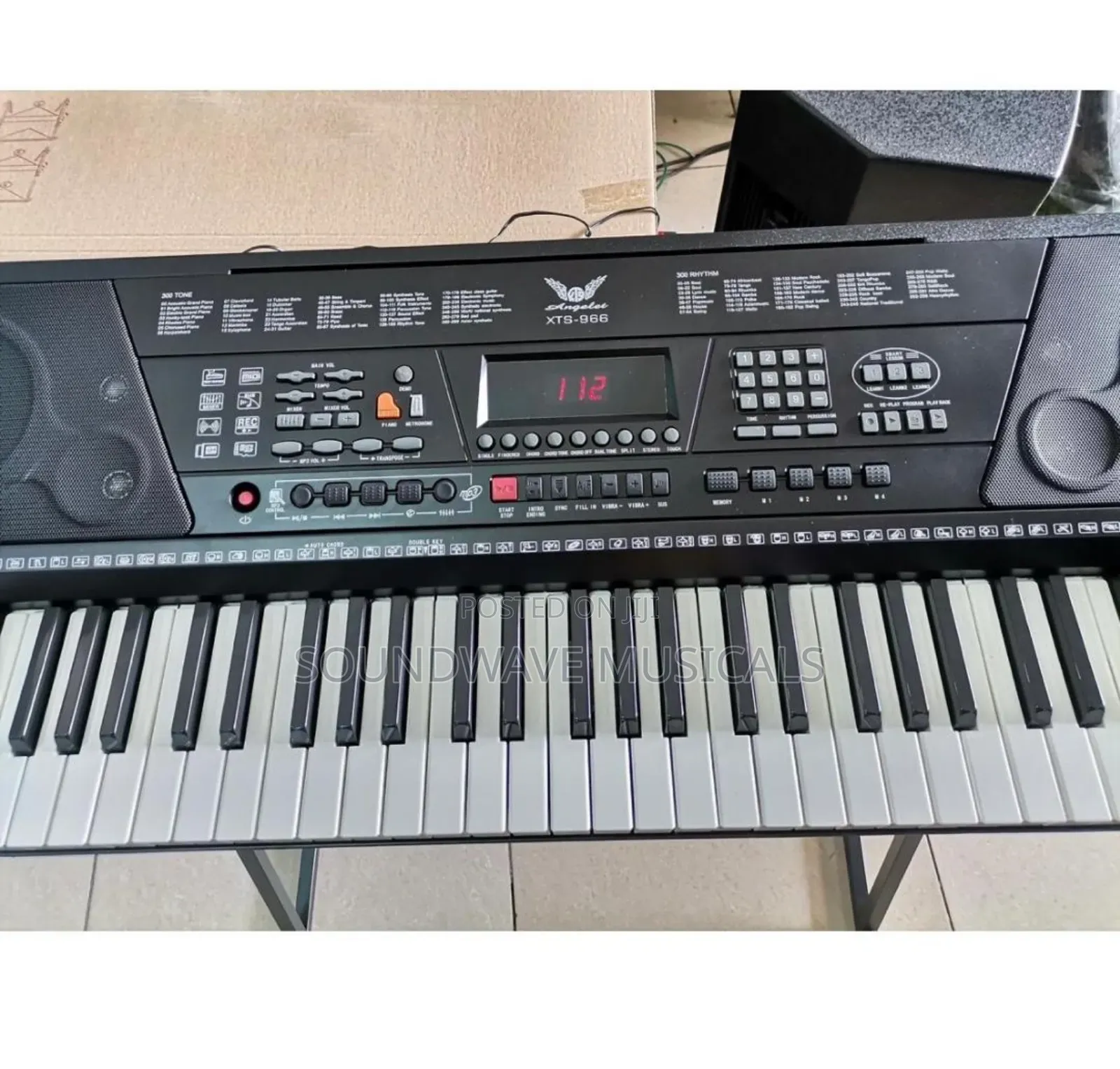 Angeles XTS-966 -61 Electronic Keyboard for Beginners