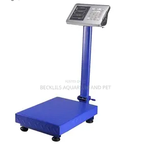 Quality Heavy Blue Scale