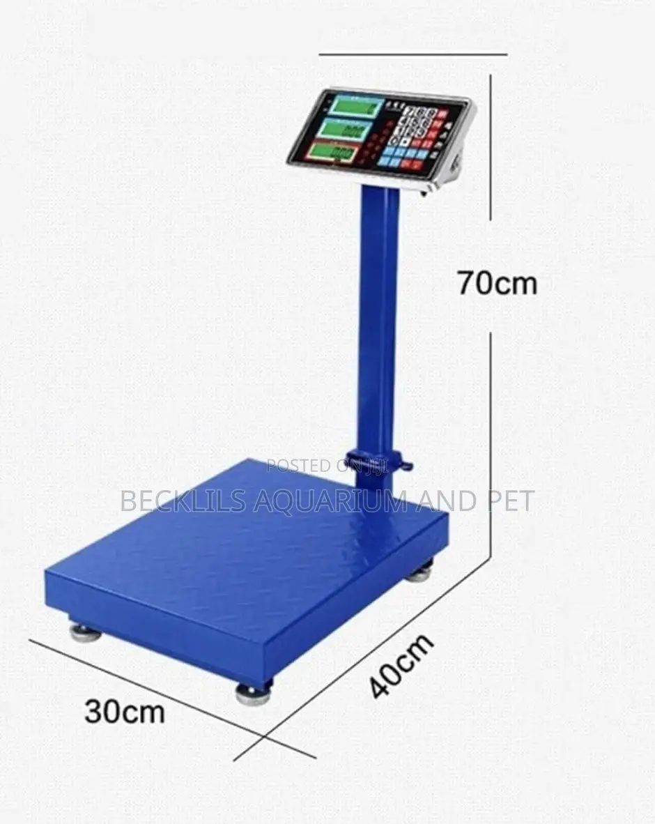 Quality Heavy Blue Scale