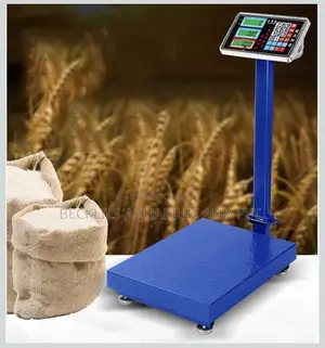 Quality Heavy Blue Scale