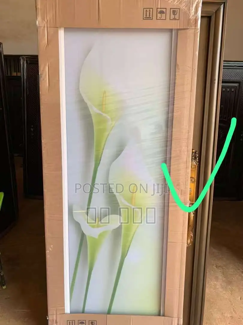 Bathroom Doors