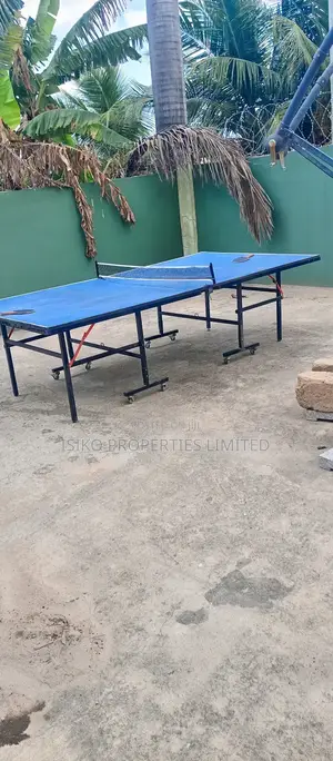 Table Tennis