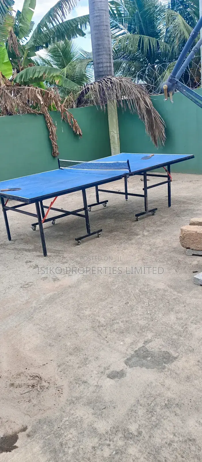 Table Tennis